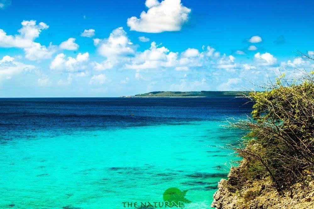 Aparthotel Bandabou Breeze Curacao Willibrordus Exteriér fotografie
